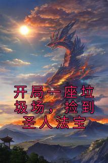 开局一座垃圾场,捡到圣人法宝