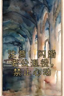 注意!闪婚老公退役,禁止心动