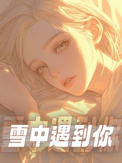 《雪中遇到你》小说章节精彩试读 陆一鸣苏以蓝小说全文