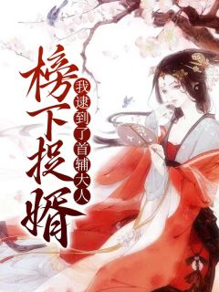 沈燕安徐清安书名叫什么_榜下捉婿，我逮到了首辅大人