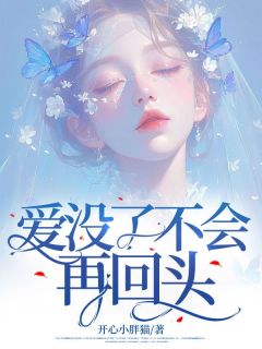 爱没了不会再回头小说免费阅读 赵妍宋辞何婉小说大结局免费试读