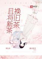 《且将新茶换旧茶》小说章节列表精彩阅读 桃子赵启言小说全文