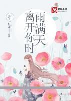 《离开你时雨满天》小说全集免费在线阅读（施清陆城席）