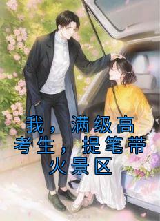 我，满级高考生，提笔带火景区陆询林梦佳小说大结局免费试读