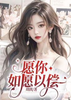 《愿你如愿以偿》小说大结局精彩阅读 时语贺西执小说全文