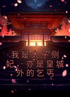 我是太子侧妃,亦是皇城外的乞丐