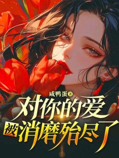 对你的爱，被消磨殆尽了全本资源 林风苏雯完整未删减版