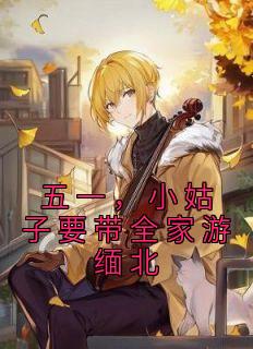 《五一,小姑子要带全家游缅北》小说大结局精彩阅读 陈盈娣田东明小说阅读