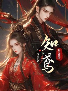 《知鸢》姜知鸢袁景和全文精彩阅读