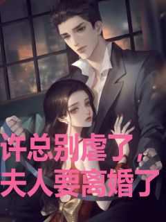 《许总别虐了，夫人要离婚了》小说全文精彩试读 《许总别虐了，夫人要离婚了》最新章节目录