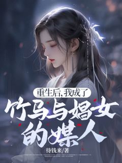 《重生后，我成了竹马与娼女的媒人》小说章节目录免费阅读 凝霜陆凌风小说全文
