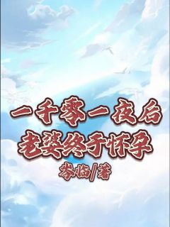 一千零一夜后老婆终于怀孕苏珊赵彦小说结局完整全文