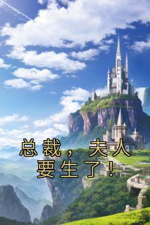 《总裁,夫人要生了!》完结版免费试读 《总裁,夫人要生了!》最新章节目录