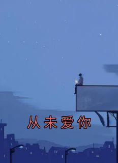 从未爱你全文免费阅读 宋宛沈野小说最新章节完整版