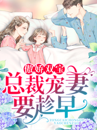 龙凤双宝:厉少的寻妻之路