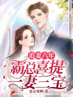 《追妻六年，霸总喜提一妻三宝》(叶揽希赫司尧)小说阅读by是京希啊