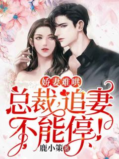 娇妻难哄:总裁,追妻不能停!