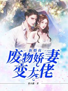 白苓傅琛by暮小靓 她从小父亲失踪,母亲改嫁在线阅读全文