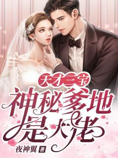 天才三宝:神秘爹地是大佬