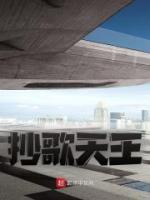 《抄歌天王》全文阅读 周宇文诗怡小说章节目录