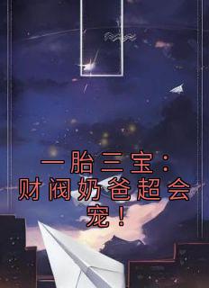 《一胎三宝:财阀奶爸超会宠!》小说章节免费试读 陆一楠赵衍贞小说全文