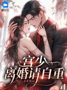 宫少,离婚请自重