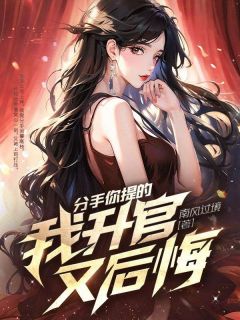 分手你提的,我升官又后悔