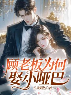 《顾老板为何娶小哑巴》小说全文精彩试读 苏沐言顾风小说全文