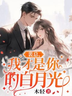 裴总,我才是你的白月光