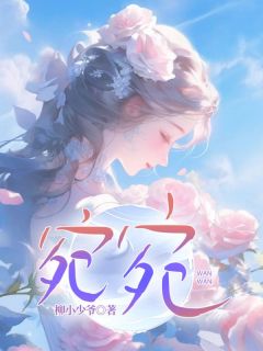 《宛宛》季长安林笙笙全文精彩章节列表试读