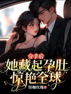 分手后，她藏起孕肚惊艳全球！主角辛莞凌楚慕小说完整版全文在线阅读