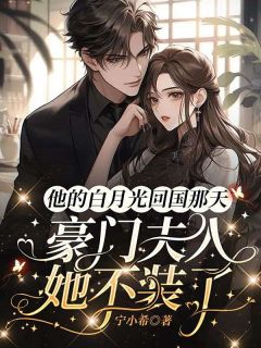 他的白月光回国那天，豪门夫人她不装了林悄悄陆司铖小说精彩章节免费试读