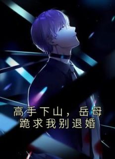 高手下山，岳母跪求我别退婚(主角叶南苏雨涵) 高手下山，岳母跪求我别退婚免费试读