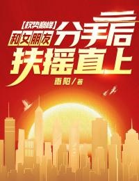 权势巅峰：和女朋友分手后扶摇直上主角陆小阳柳艳艳全文章节免费试读