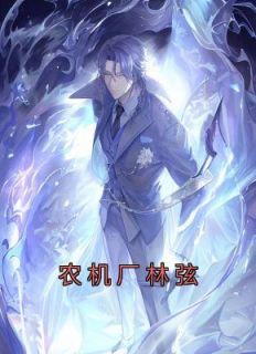 《农机厂林弦》小说全集免费免费试读（林弦主播）