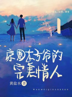 京圈太子爷的完美情人by黄盐水无防盗章在线阅读