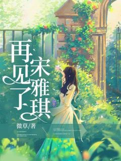 《再见了，宋雅琪》小说章节精彩试读 郑文岑宋雅琪小说全文