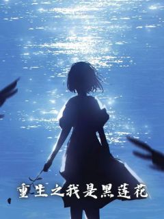 南轲陈昭by屿安原 重生之我是黑莲花免费完整版