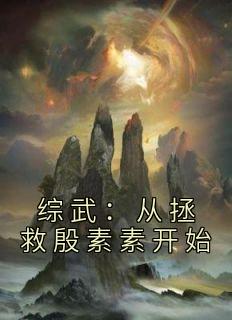 综武：从拯救殷素素开始苏玄综武结局完整全文