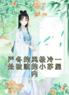 《严冬的风极冷一处破败的小茅屋内》最新章节免费阅读(完整版未删节)