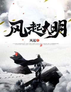 《风起大明》朱烨朱由检章节免费试读