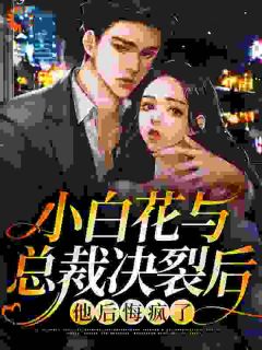 《离婚后，他才想起来爱我》最新章节免费阅读（完整版未删节）