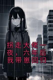 拐走大佬一夜,六年后我带崽回归by月四昭昭无防盗章在线阅读