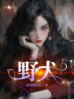 主角是南绡霍寒霖的小说在哪看 《野犬》小说阅读入口