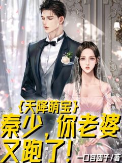 天降萌宝:秦少,你老婆又跑了!