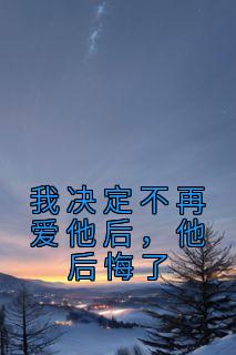 我决定不再爱他后,他后悔了小说全文精彩章节在线阅读(唐婉叶南辰唐宁)