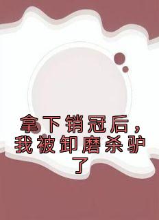拿下销冠后,我被卸磨杀驴了