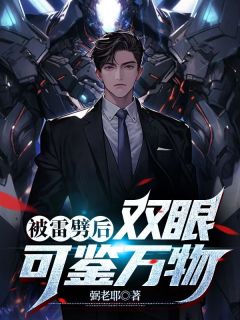 被雷劈后,双眼可鉴万物章节 被雷劈后,双眼可鉴万物小说目录阅读