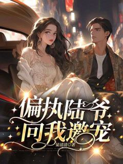 《偏执陆爷向我邀宠》小说全文精彩试读 温宁陆晏辞小说全文