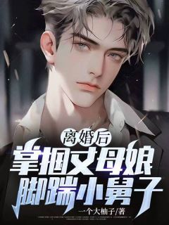 《离婚后,掌掴丈母娘,脚踹小舅子》小说章节目录在线阅读 林羽孙静雯小说全文